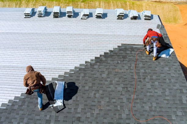 Best Roof Gutter Cleaning  in Lake Station, IN